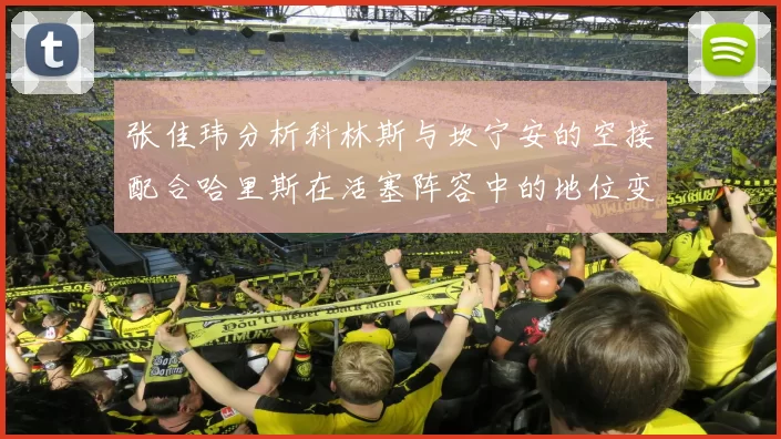 张佳玮分析科林斯与坎宁安的空接配合哈里斯在活塞阵容中的地位变化